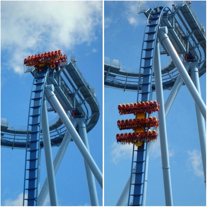 photogrid_1479988502296