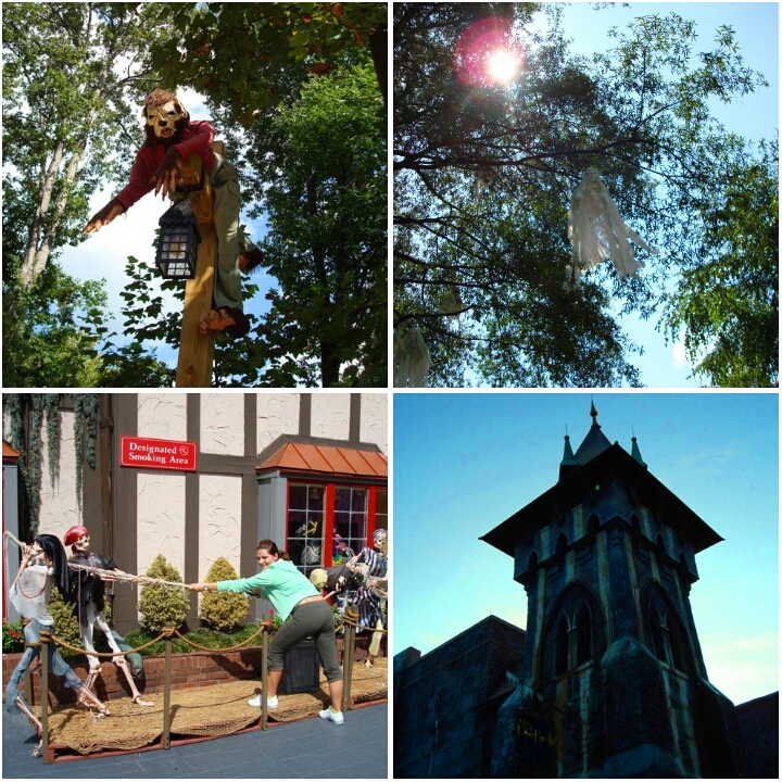 photogrid_1479988580220