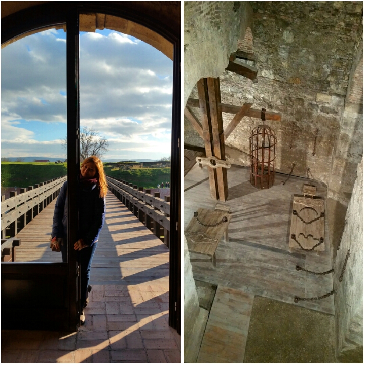 photogrid_1482313996138