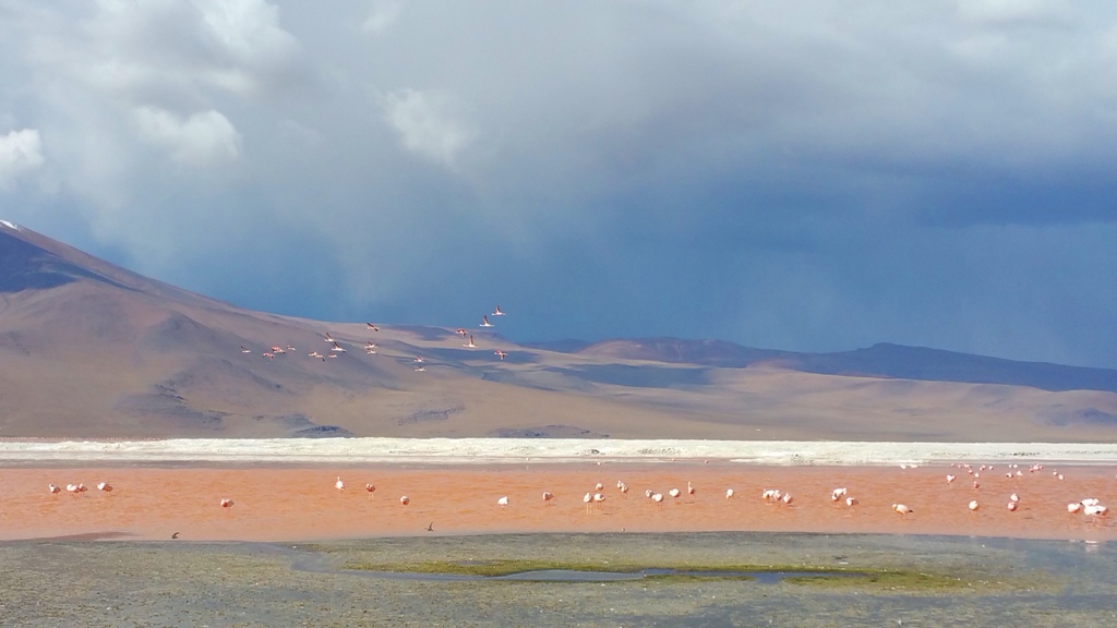 uyuni_11