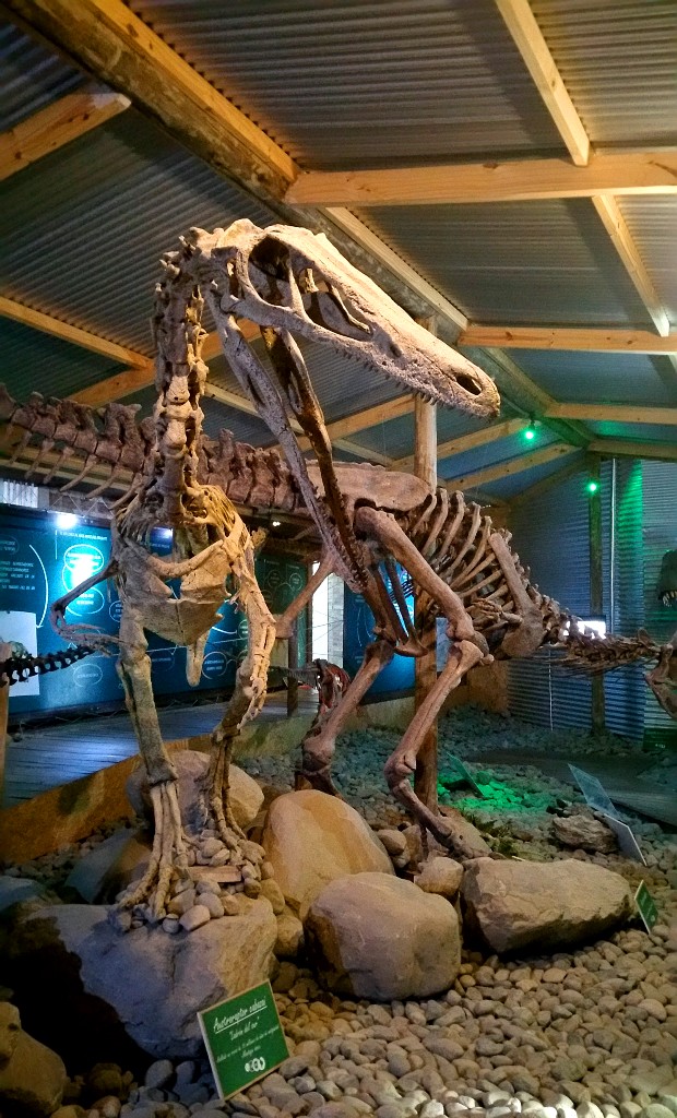 el_calafate_history_23