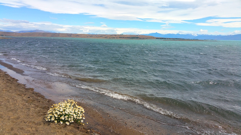 el_calafate_laguna_nimez_10