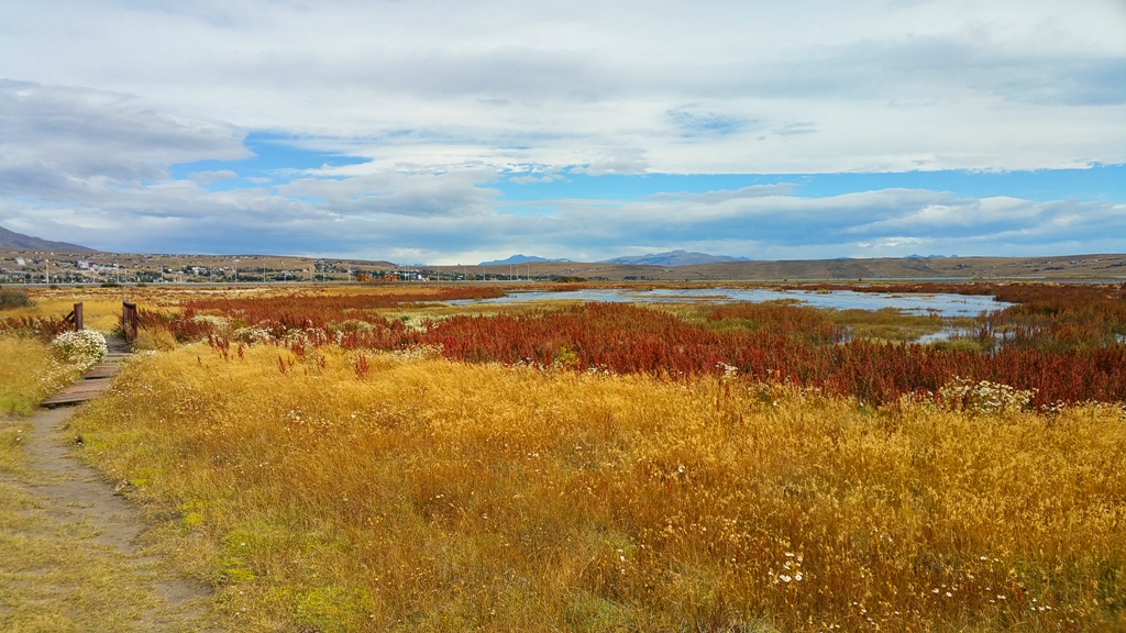 el_calafate_laguna_nimez_13