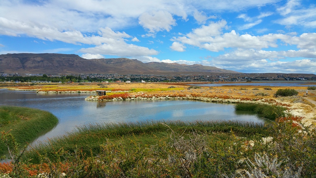 el_calafate_laguna_nimez_8